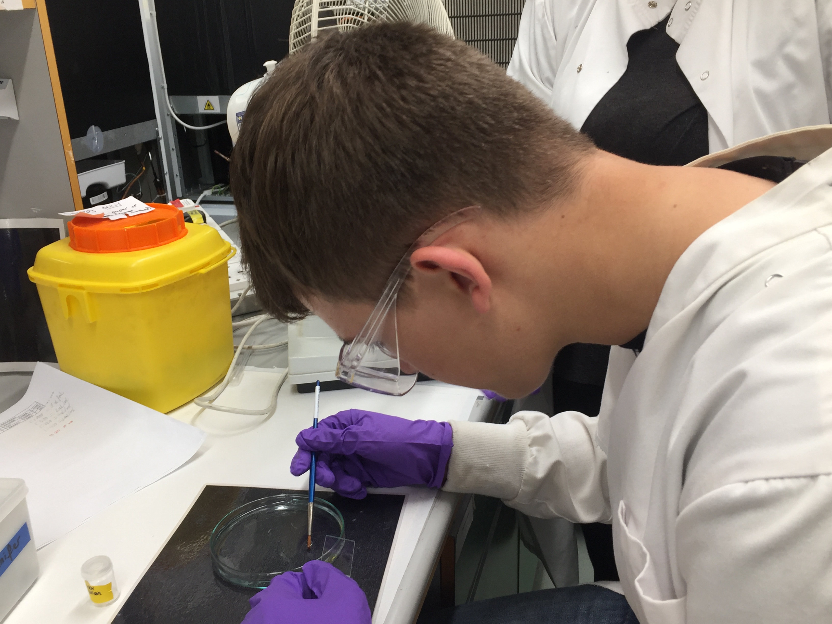 In2science UK student Krystian tries his hand at mounting brain sections on slides.