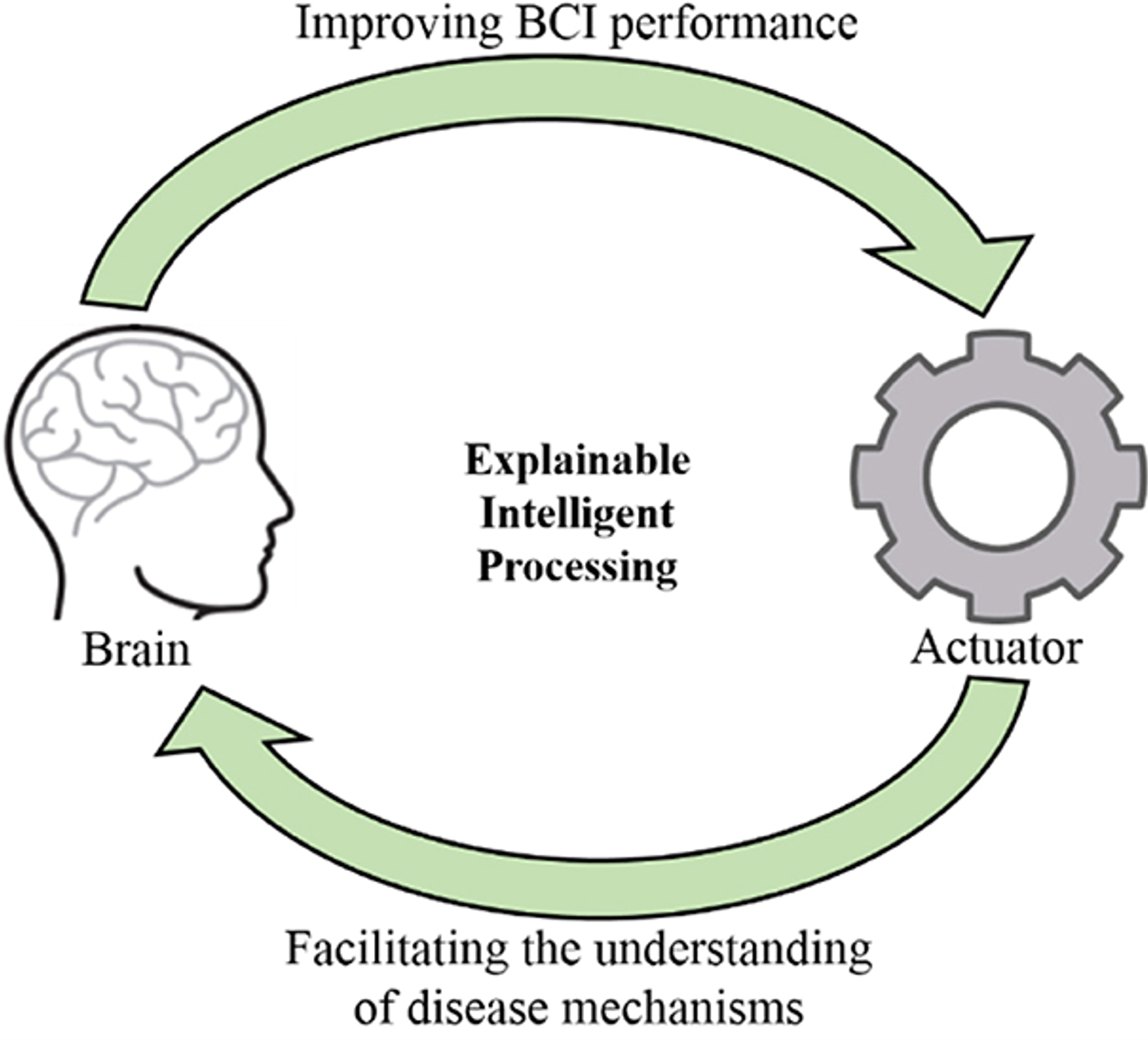 Diagram showing a brain on the left, and an actuator on the right, with arrows at the top and bottom of the image, forming a loop. The brain feeds 'Improving BCI performance' into the actuator, and the actuator feeds 'facilitating the understanding of disease mechanisms' into the brain. At the centre is text saying 'Explainable Intelligent Processing'.