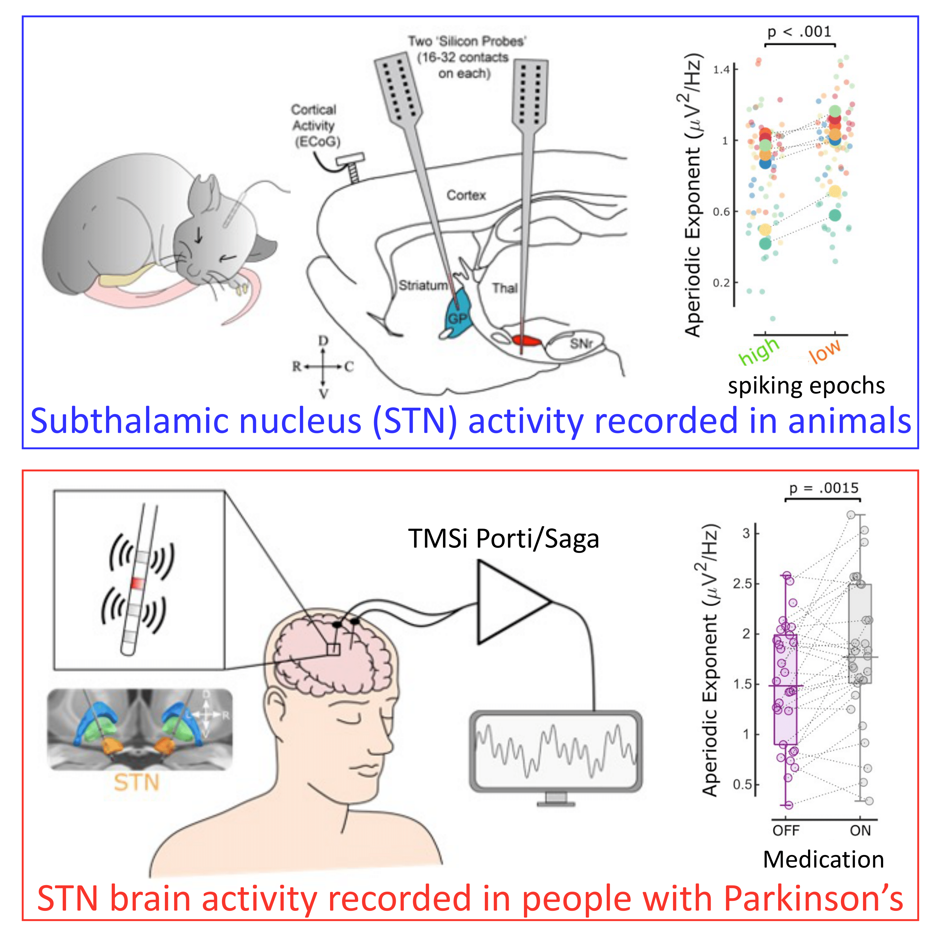 Top panel: left, picture of rodent with implanted electrode, centre, drawing of brain anatomy, right, figure with two columns of coloured dots; bottom panel, left, drawing of electrodes in a human brain, signals goings to a screen, right, figure with two columns with coloured dots