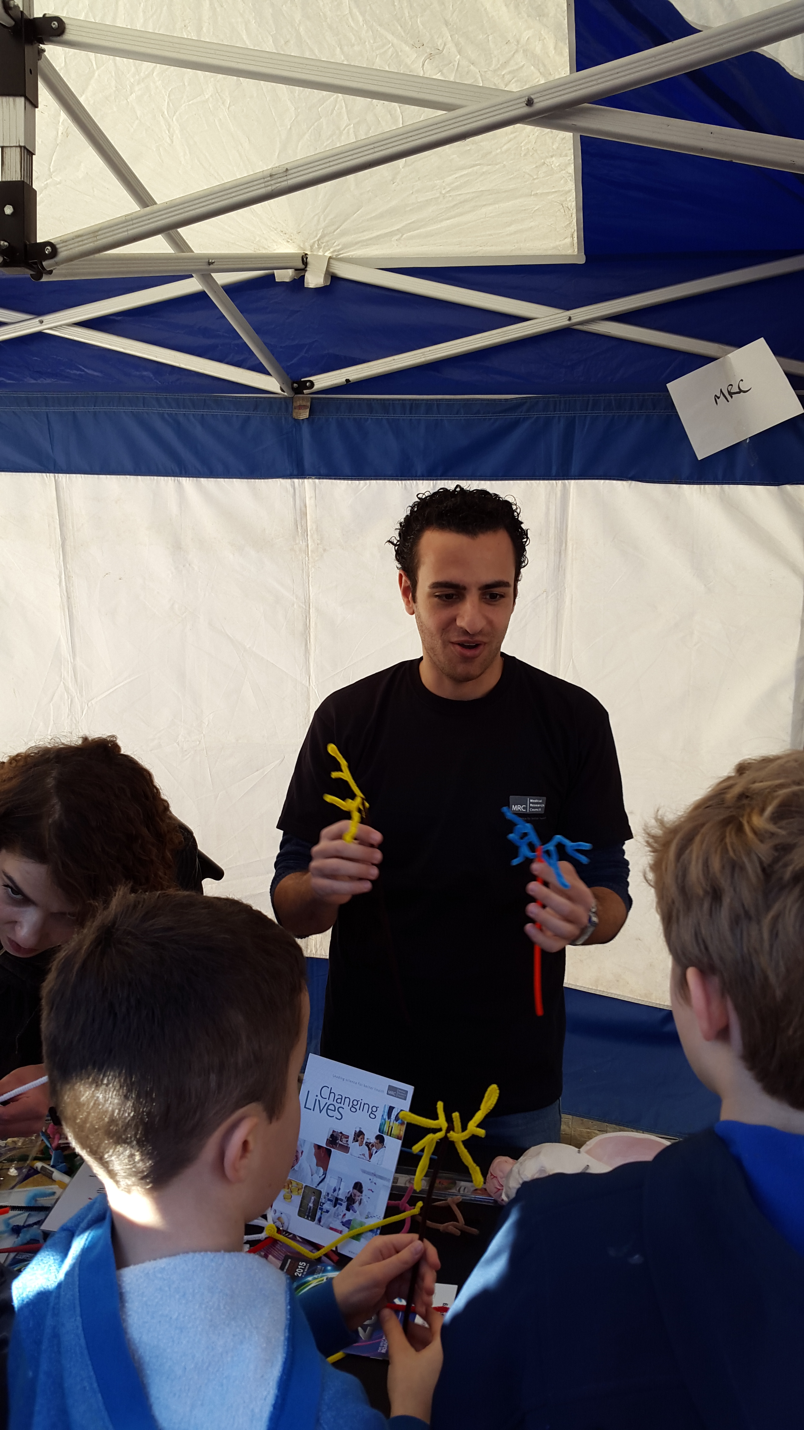Explaining neuron morphology to children using models made from coloured pipe cleaners.