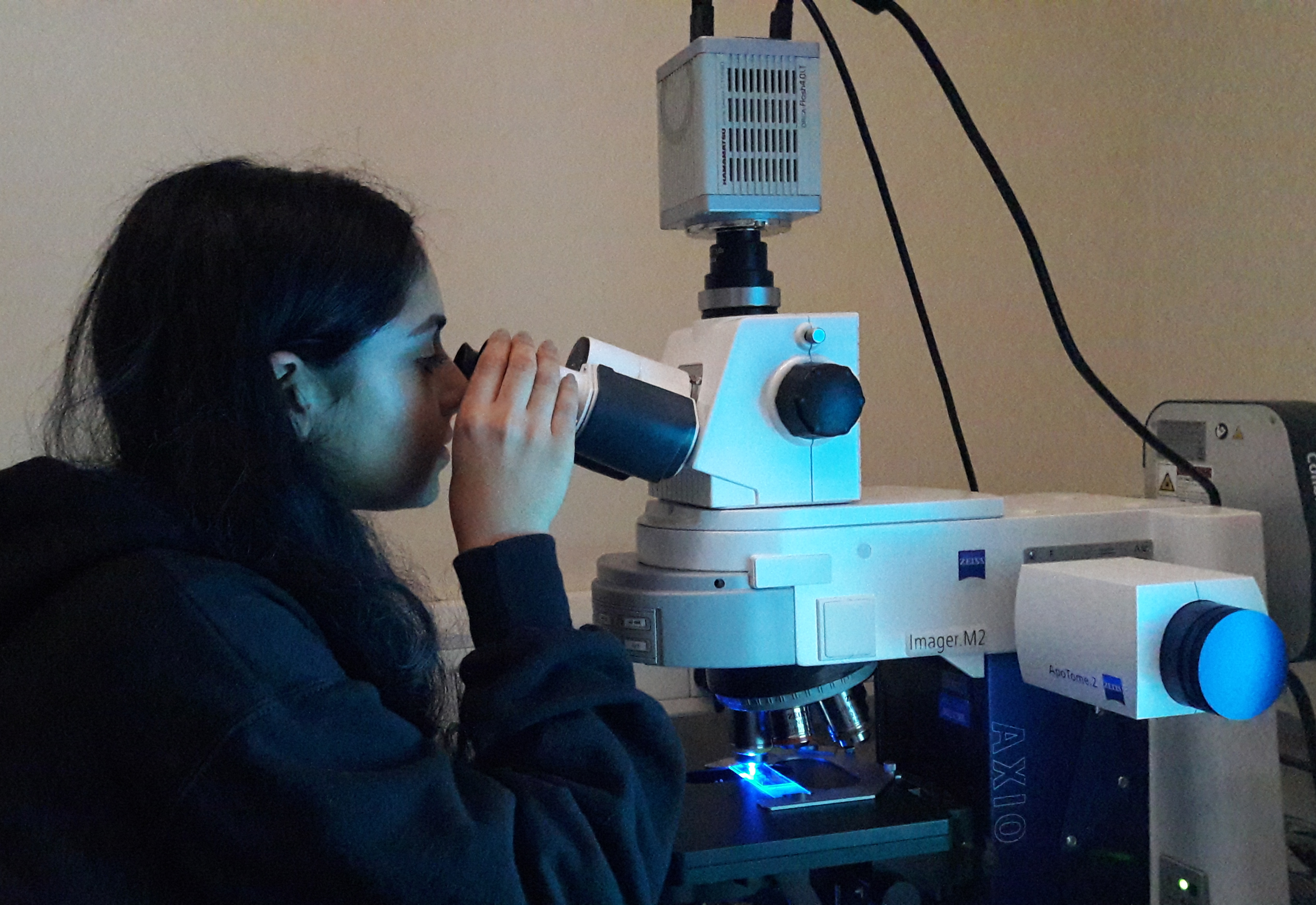 In2scienceUK student Guneet explores brain structure with the fluorescence microscope at the MRC BNDU.