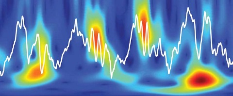 A picture of theta oscillations in the hippocampus.