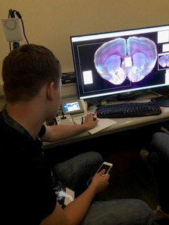 In2science UK student Krystian examines his results with the fluorescence microscope at the MRC BNDU.