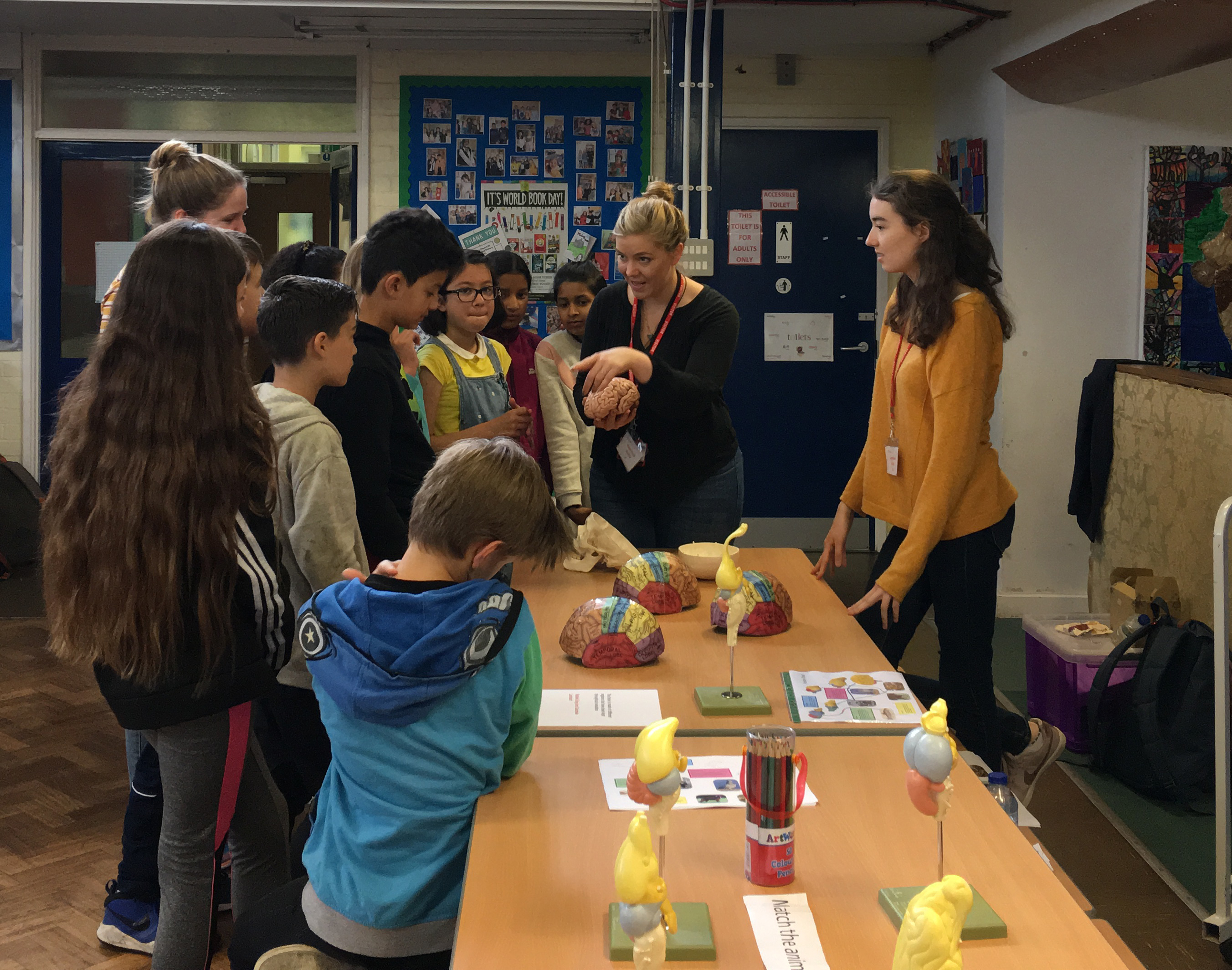 Photo of Unit researcher Dr Natalie Doig guiding pupils as they compare the brains of different vertebrates.