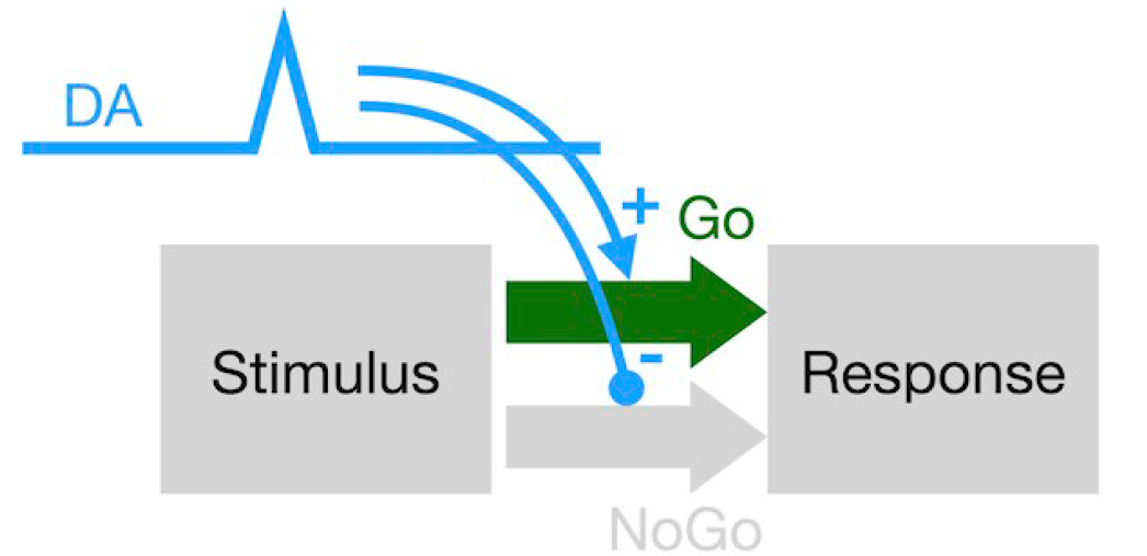 Reward prediction error enhances emphasis on potential gains