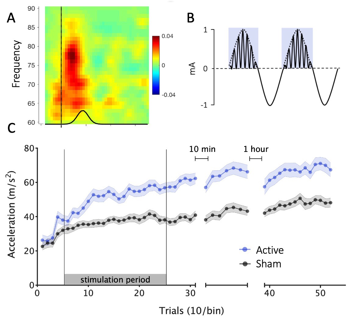 Top left panel shows a coloured graph of brain activity. Top right panel shows cartoon of the electrical stimulation patterns that were delivered to the brain. Bottom panel is a graph showing the effects of brain stimulation on movement learning.
