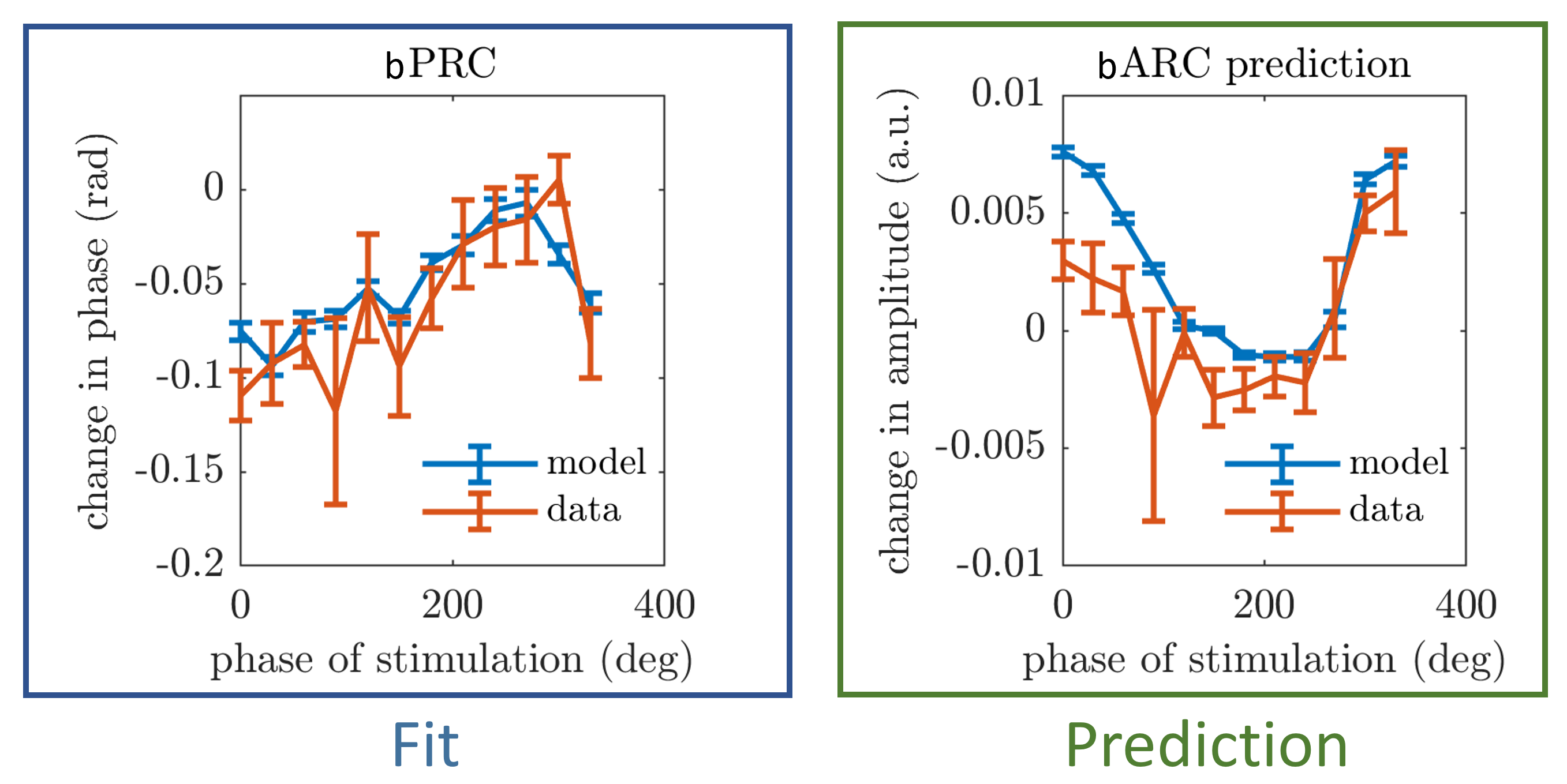 The figure is showing that the model can predict the amplitude response curve when fitted to the phase response curve.