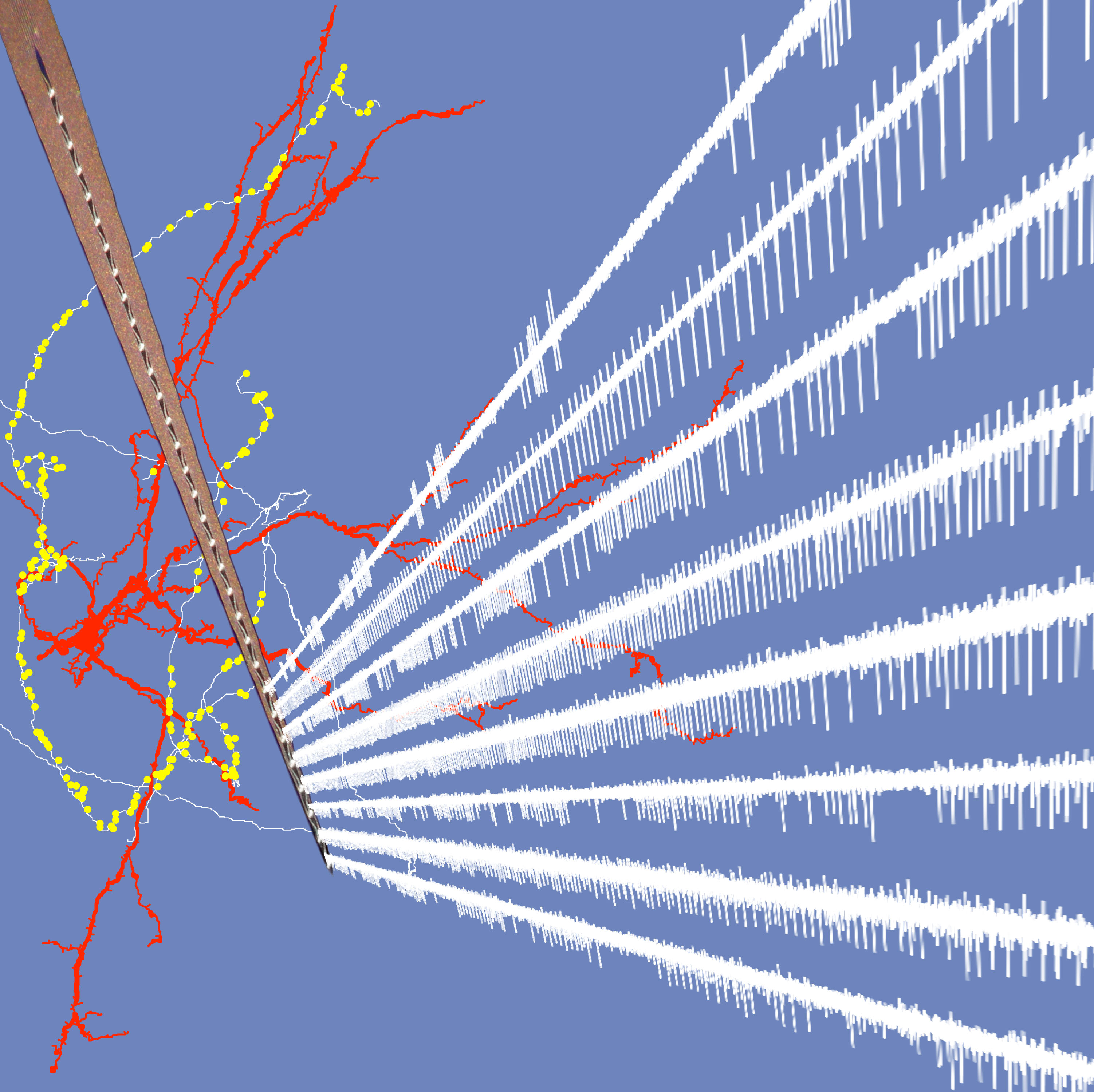 GPe neurons: structure is function