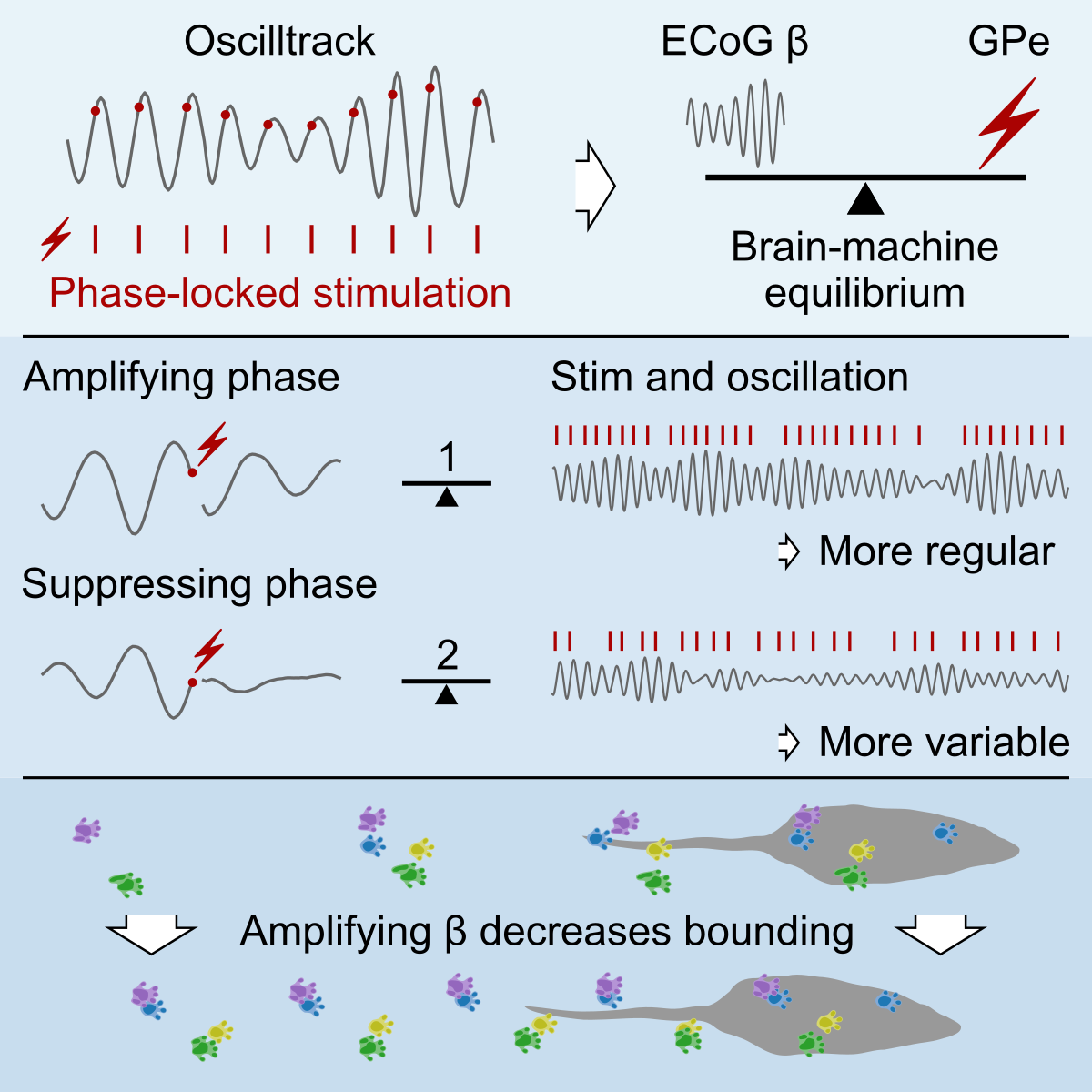 Graphical abstract showing schematic descriptions of the main concepts of the paper.