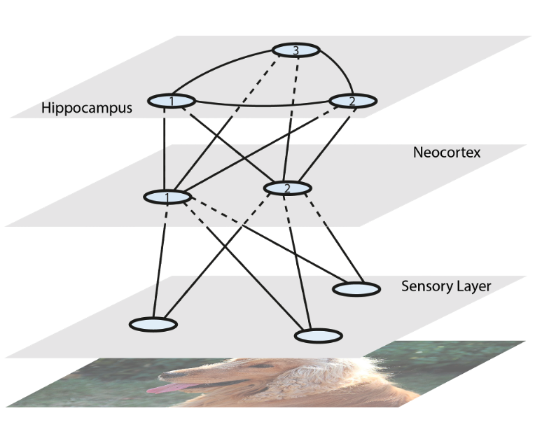 Four rectangles on top of each other showing different layers of a network