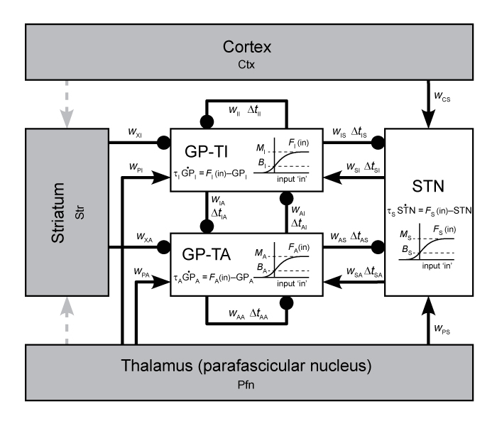 Supercomputer modelling of basal ganglia circuit dynamics.