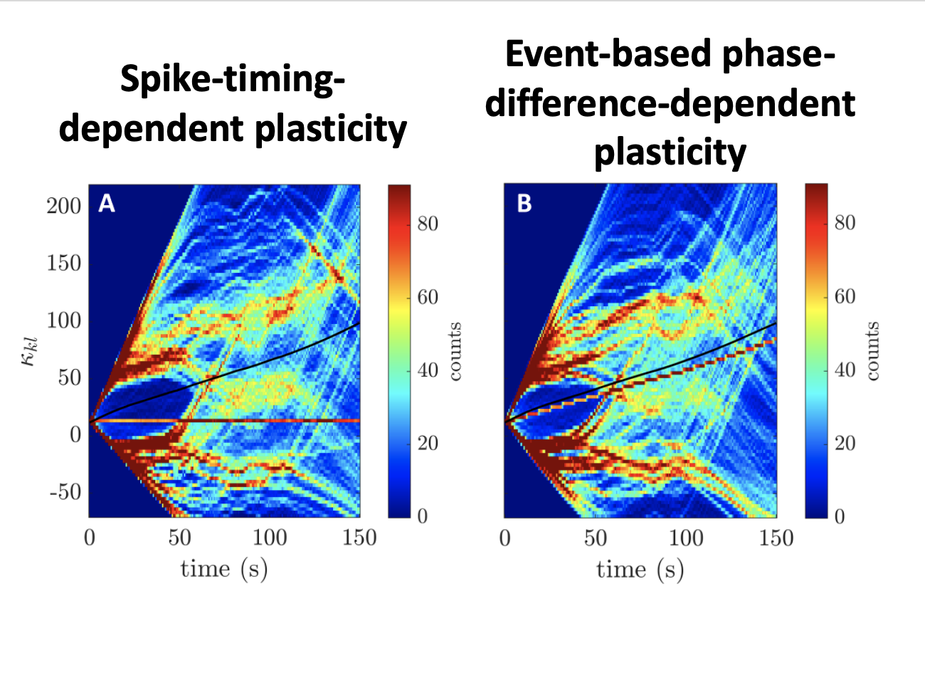 Two rectangular figures showing synaptic weights over time in 2 conditions of synaptic plasticity; warmer colours represent higher synaptic weights