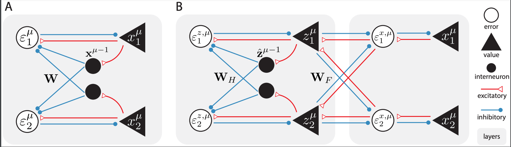 Two figures left-to-right, each with diagrams of interconnected neurons. 