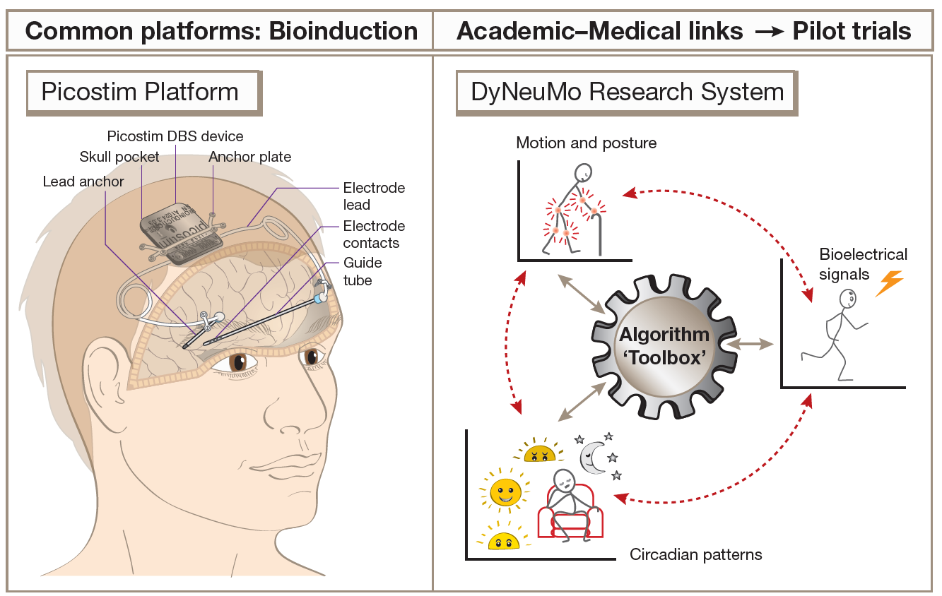 On the left, a cartoon of human head showing an implanted brain pacemaker device. On the right, a cartoon showing a circle of steps in the research system.
