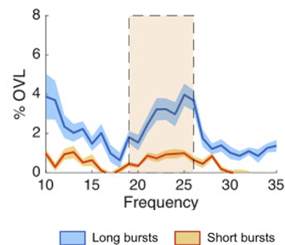 Percentage overlapping (OVL) above chance between the subthalamic nucleus, its contralateral partner and ipsilateral motor cortex. OVL is greater for longer bursts of beta oscillations.