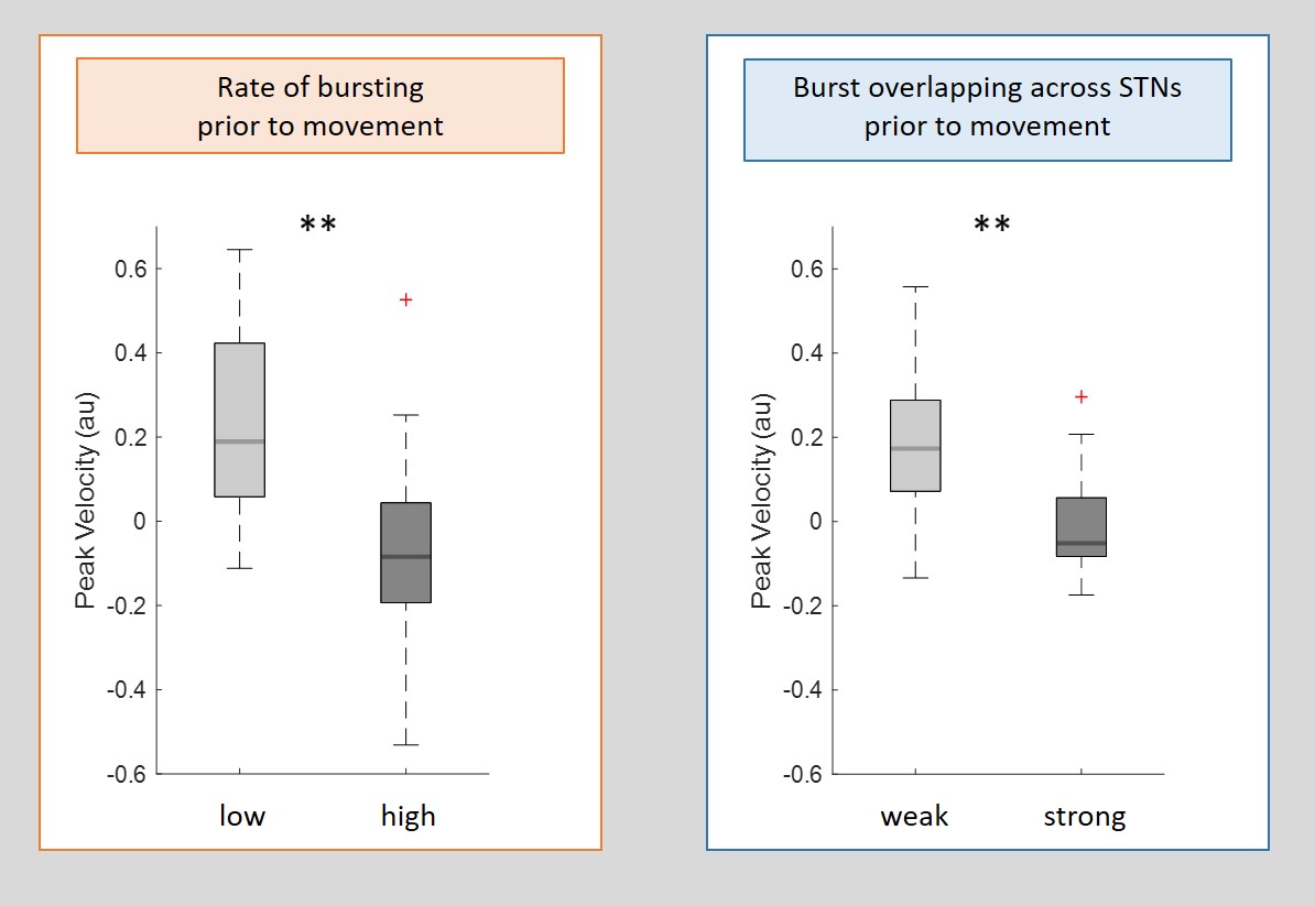 Figure of data form Tinkhauser et al 2020