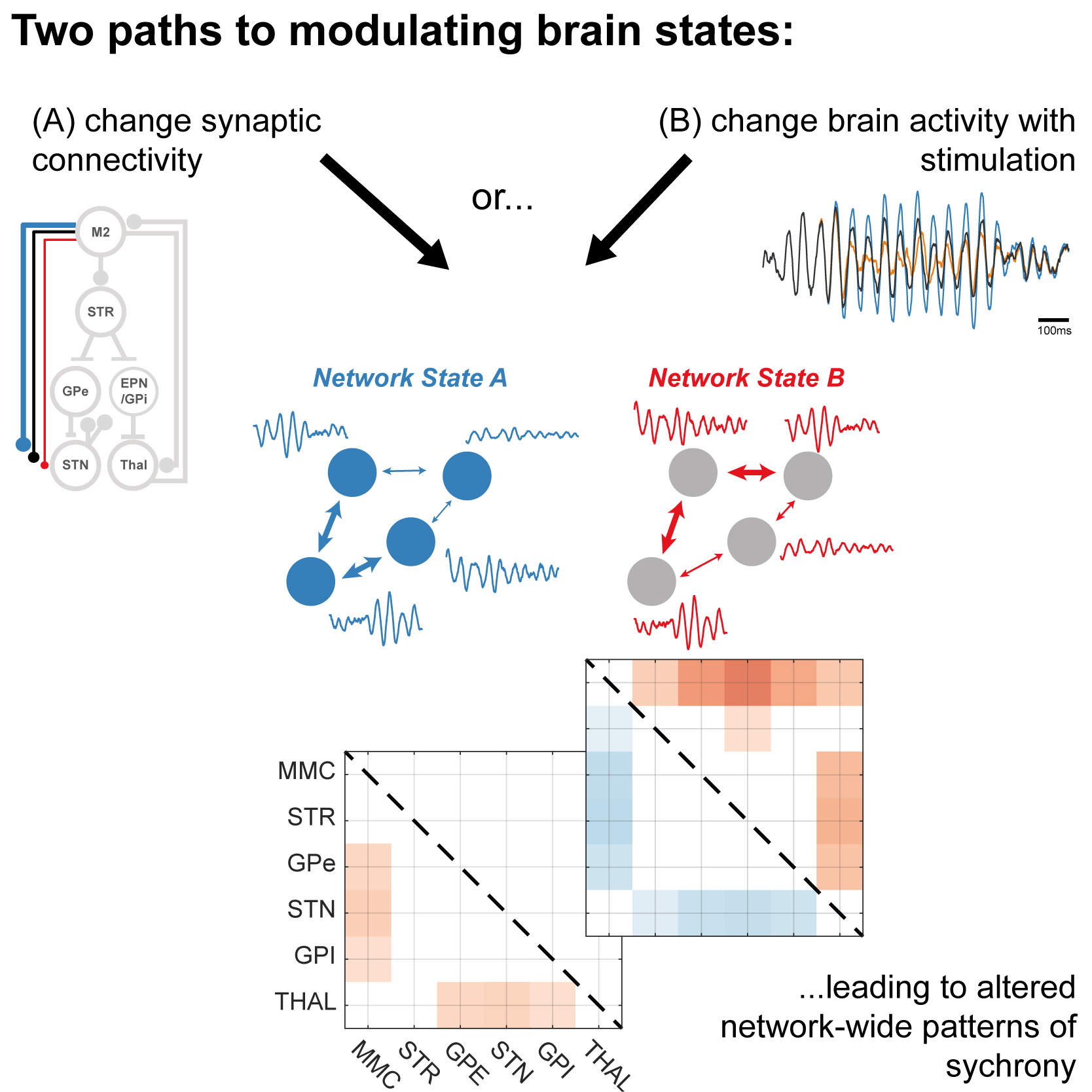 Cartoon of how to alter brain states, via directly altering networks with plasticity or by delivering phase-locked brain stimulation