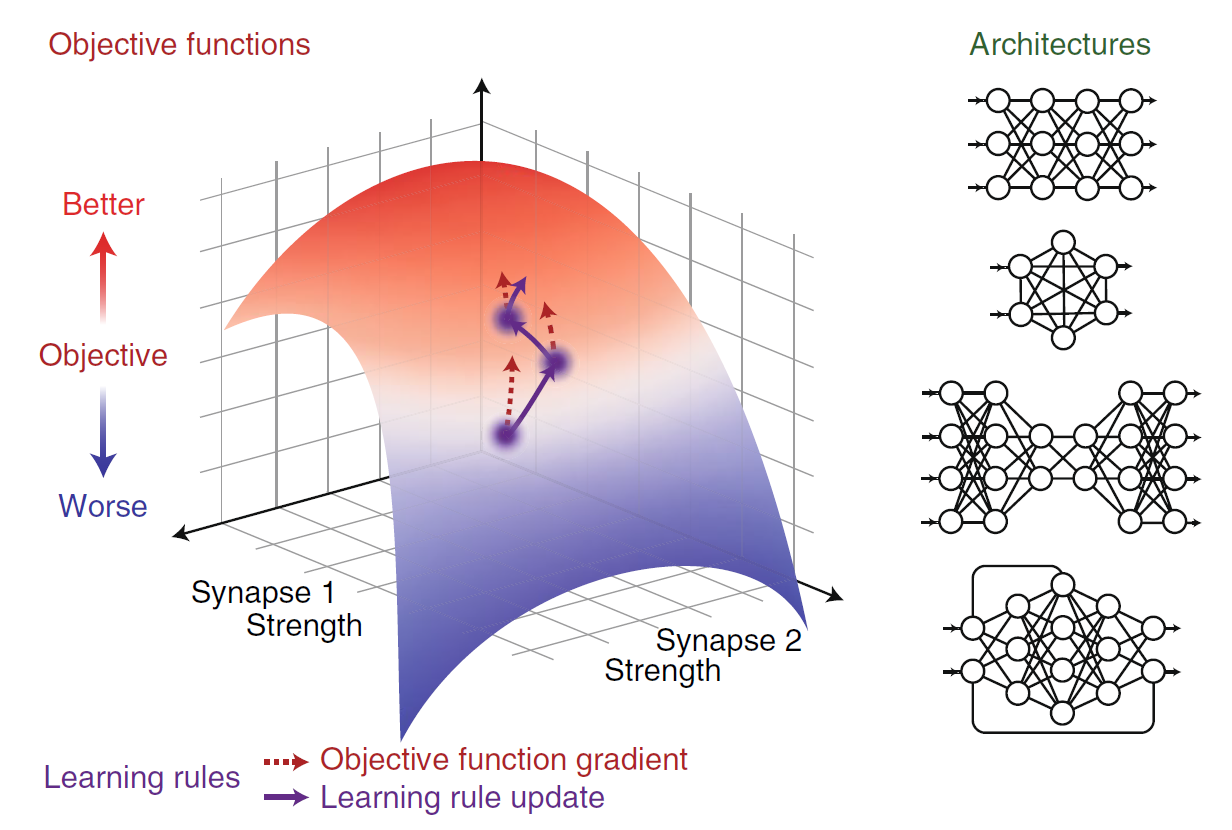 Elements of neural network design