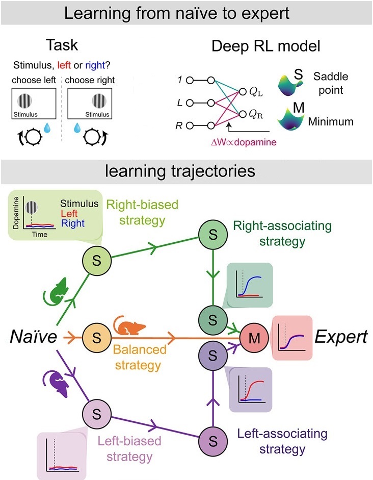 Learning trajectories