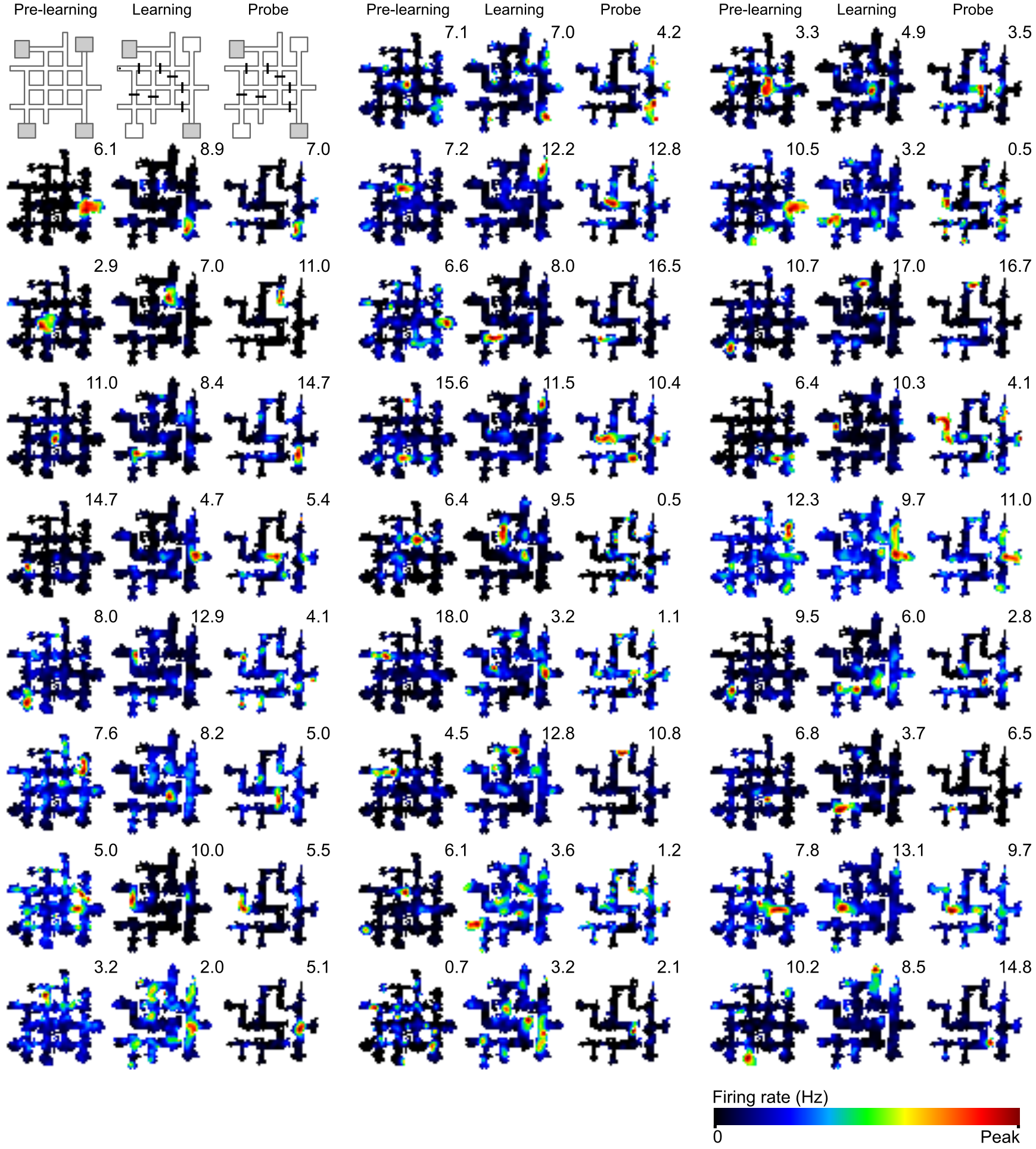 Place cell action potential firing heat maps on the crossword maze