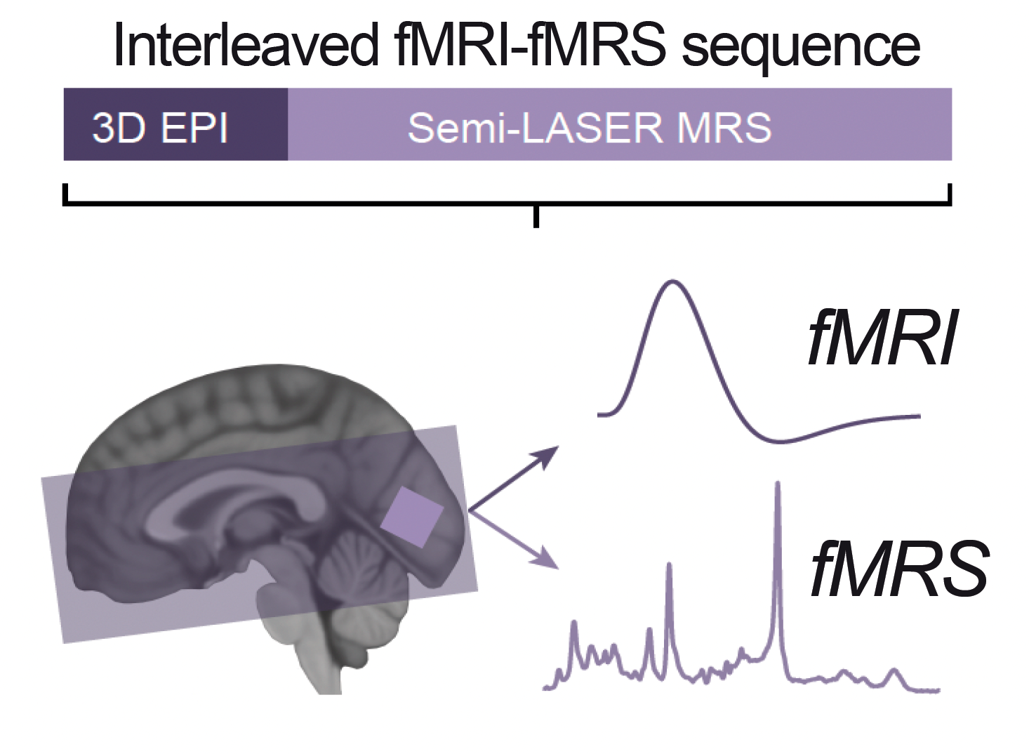 Figure showing the interleaved fMRI-fMRS sequence. Below, a parasaggital image of a human brain with a location marked, and two read-outs from the region- fMRI and fMRS