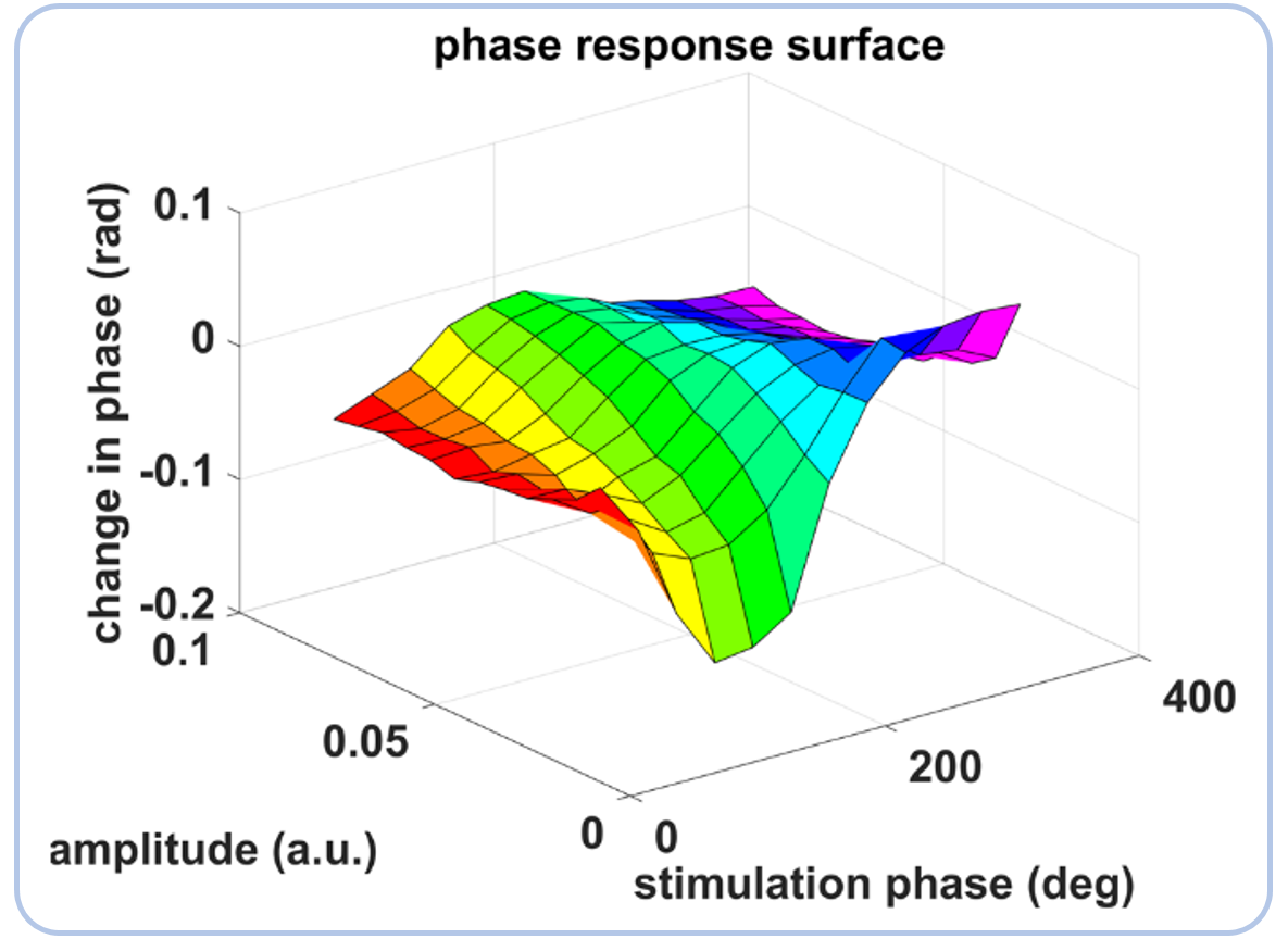 Phase response to stimulation along both the tremor oscillation phase axis and the tremor oscillation amplitude axis