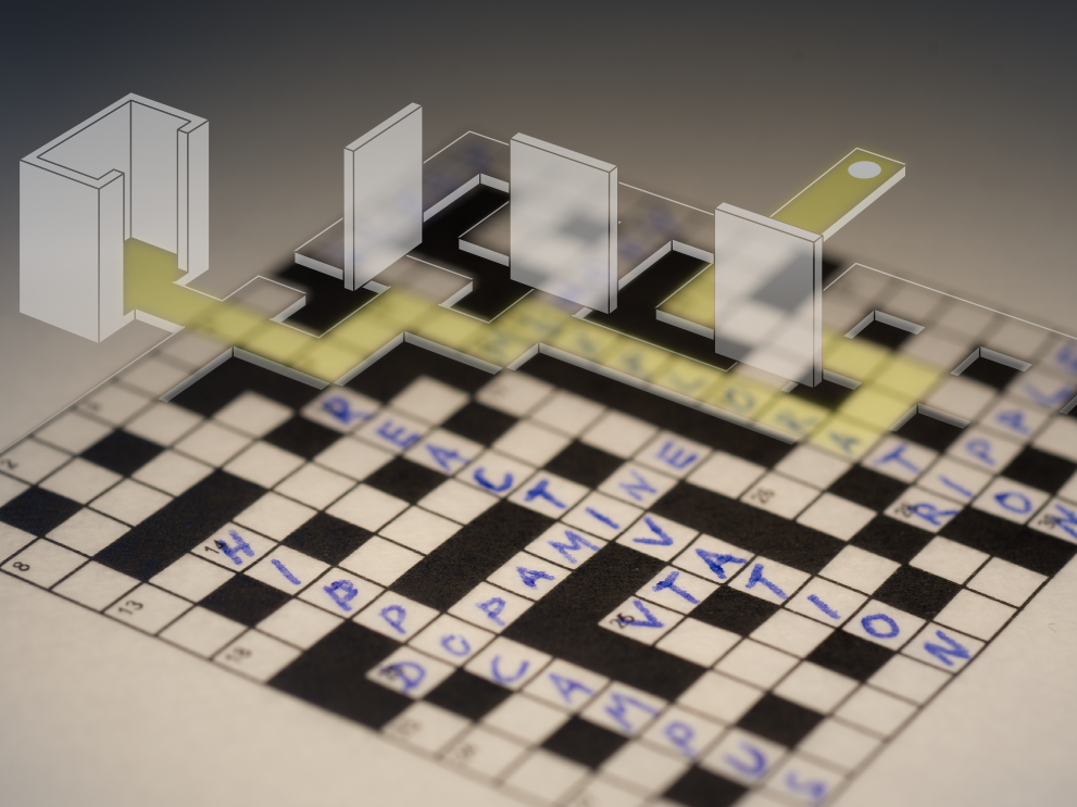 Dopaminergic neurons promote hippocampal reactivation and spatial memory persistence.