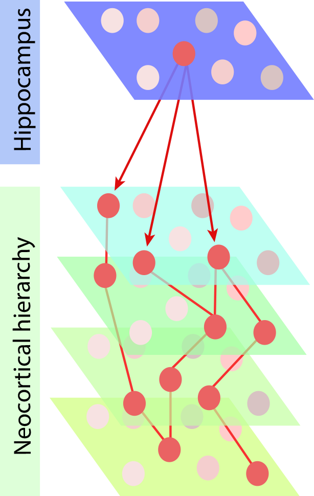 diagram of neural activity in information processing, illustrated as with brain structures as layers and arrows of activity between them.