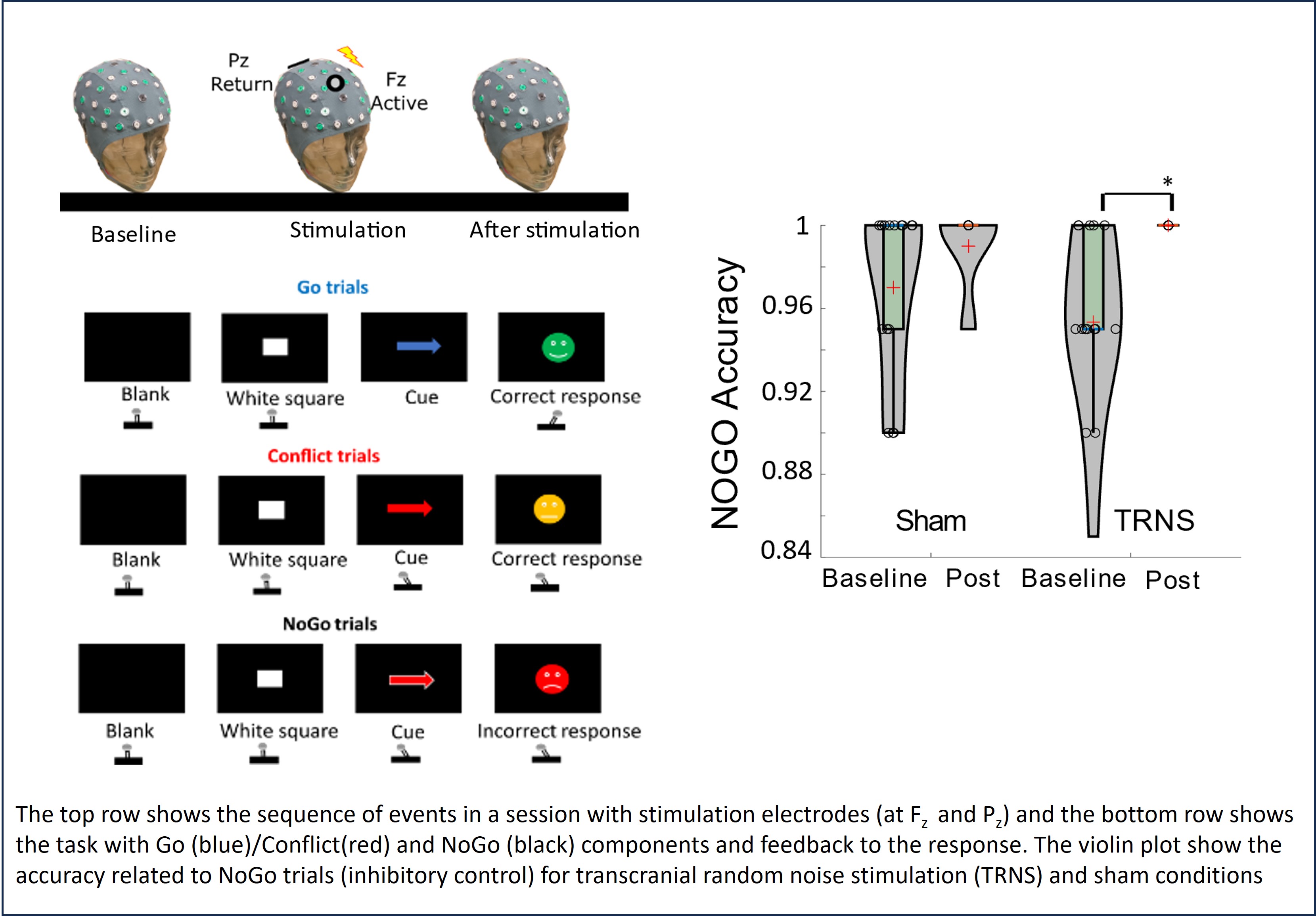 The top row shows the sequence of events in a session with stimulation electrodes (at Fz and Pz) and the bottom row shows the task with Go (blue)/Conflict (red) and NoGo (black) components and feedback to the response. The violin plot shows the accuracy related to NoGo trials (inhibitory control) for transcranial random noise stimulation (TRNS) and sham conditions.)