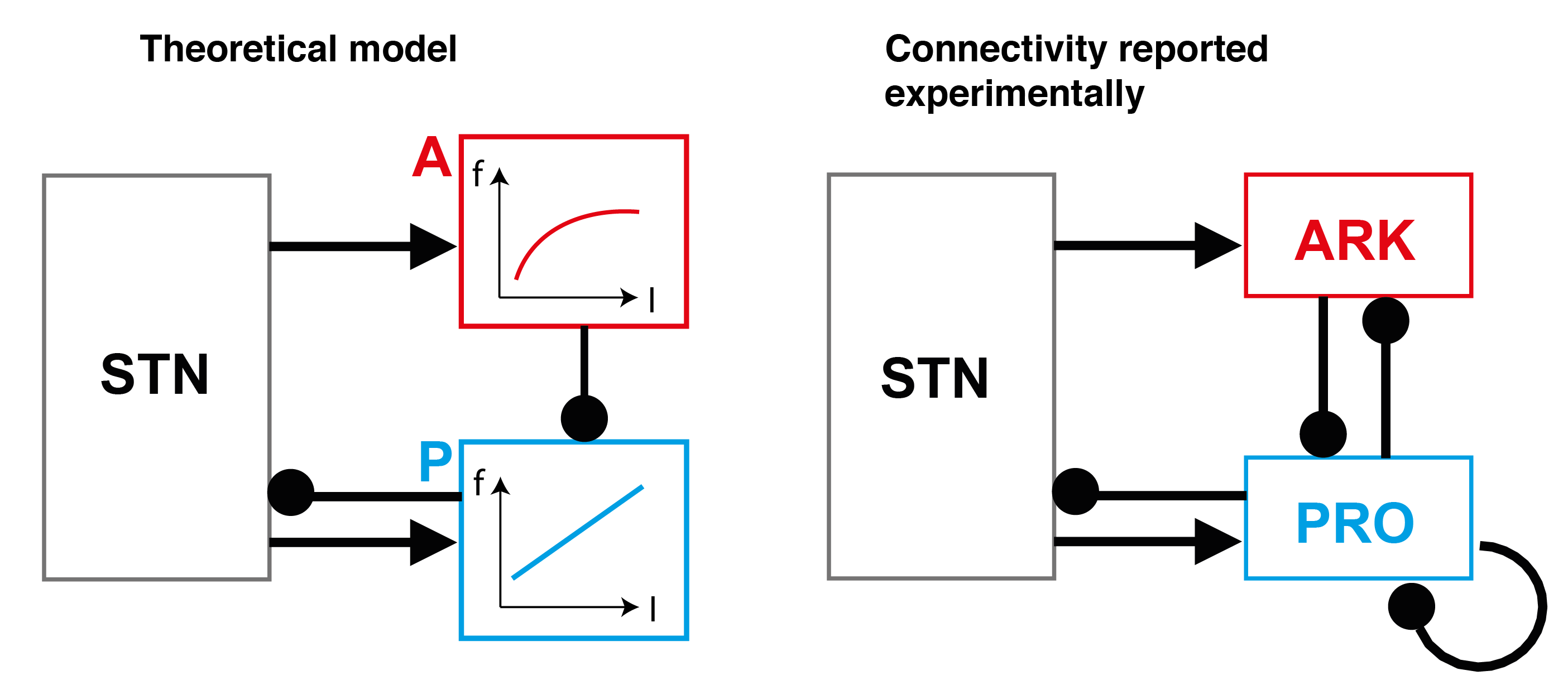 Properties of Neurons in External Globus Pallidus Can Support Optimal Action Selection.