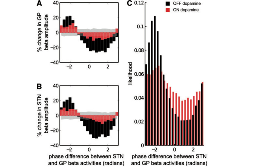 The relative phases of basal ganglia activities dynamically shape effective connectivity in Parkinson's disease.