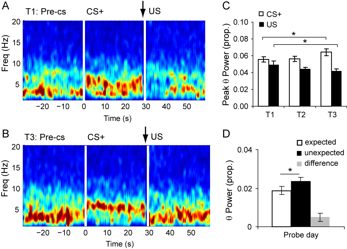 Aversive prediction error signals in the amygdala.