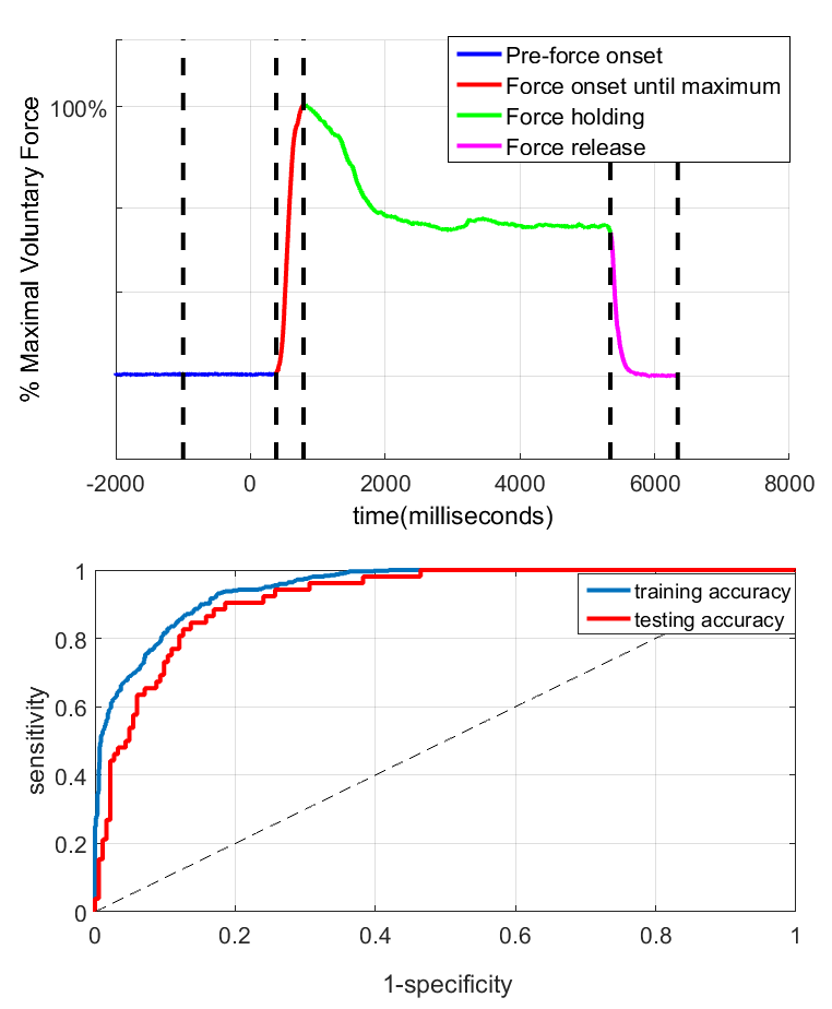 Top panel shows the different phases of a voluntary grip. Bottom panel shows how accurately we can predict these grip phases using brain signals recorded from the subthalamic nucleus, a part of the brain that is important for movement.