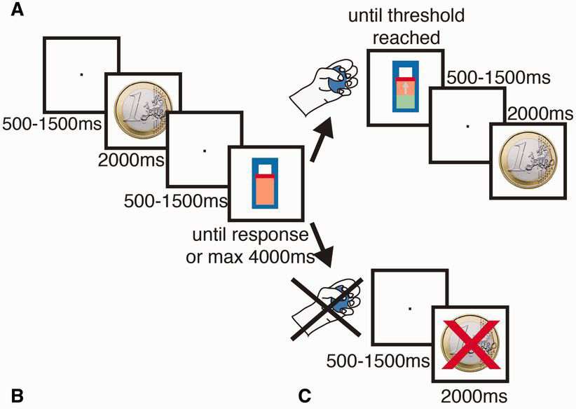 Schematic of behavioural task used in Zenon et al. (2016) Brain