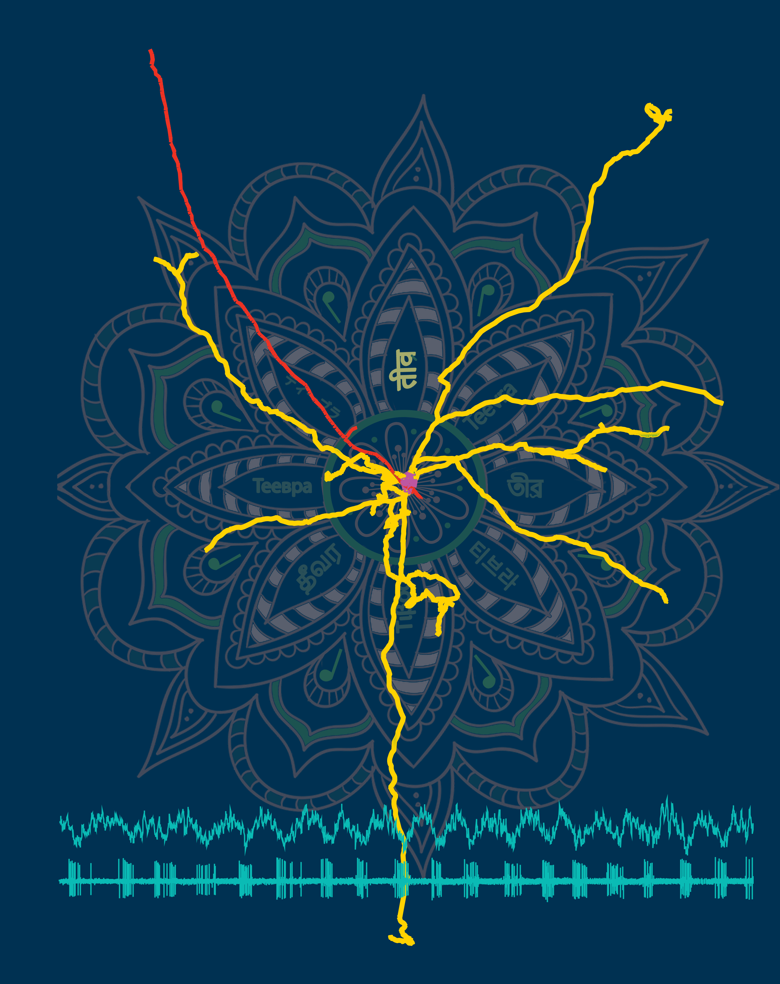 Joshi et al. 2017 define the most rhythmic medial septal GABAergic cell type, the Teevra cells, which preferentially innervate axo-axonic GABAergic interneurons in the hippocampal CA3. The nomenclature is inspired from Hindustani classical music. Teevra (in Sanskrit) is the ‘sharp’ vocalization of the short burst duration neurons."Transliteration by Rimjhim Dobhal and Artwork by Anuja Gopidas"