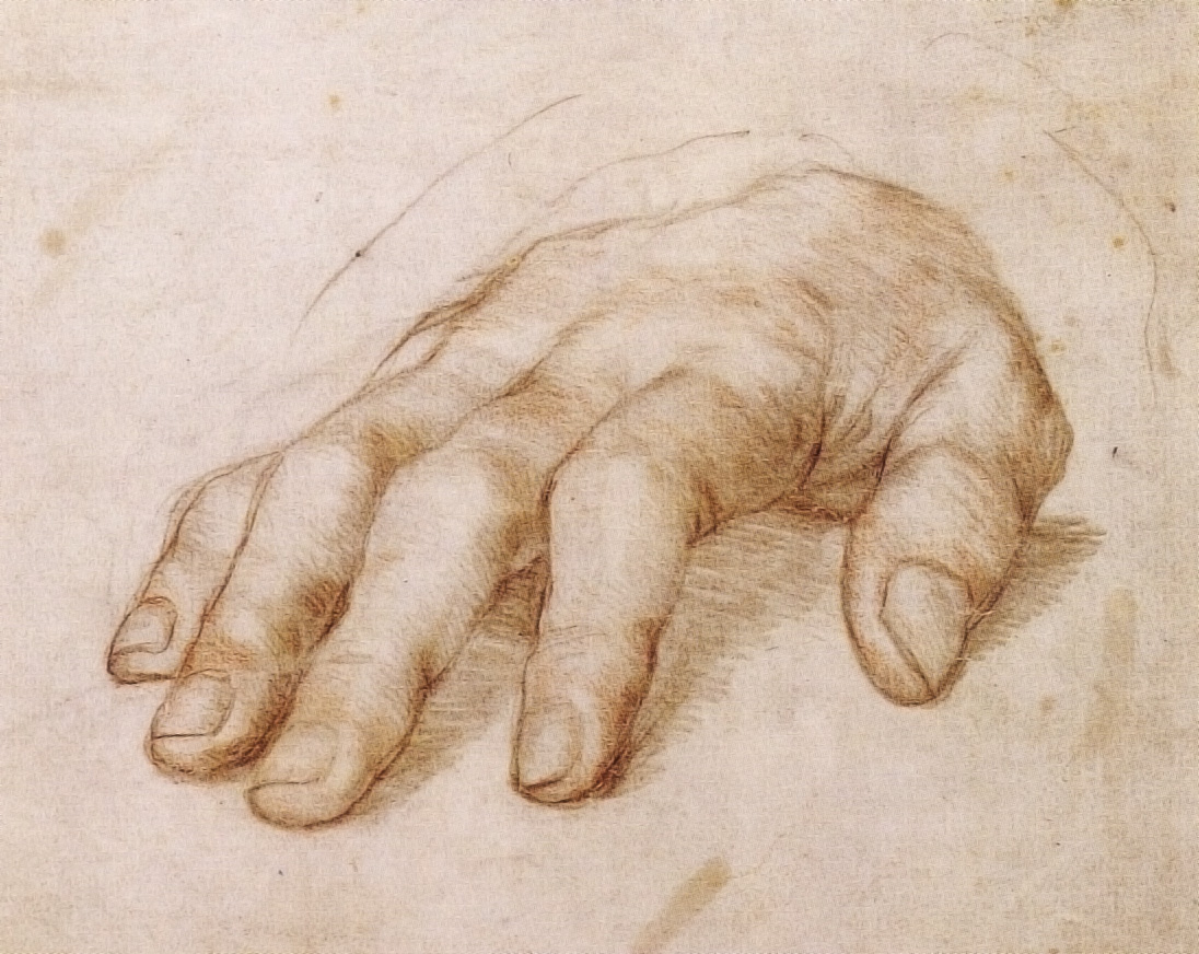 Detail of 'Study of Right Hand of Erasmus of Rotterdam and Portrait Study' by Hans Holbein the Younger (1498–1543), silverpoint, black crayon and red chalk on grey-primed paper c. 1523. This is a faithful photographic reproduction of a two-dimensional, public domain work of art.