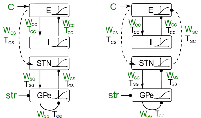 Computational Models Describing Possible Mechanisms for Generation of Excessive Beta Oscillations in Parkinson's Disease.