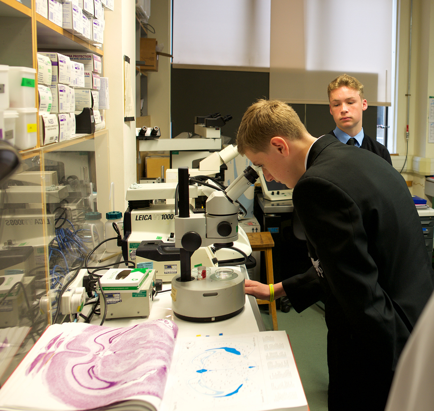 Visiting pupils were encouraged to view the complexity of the brain for themselves.