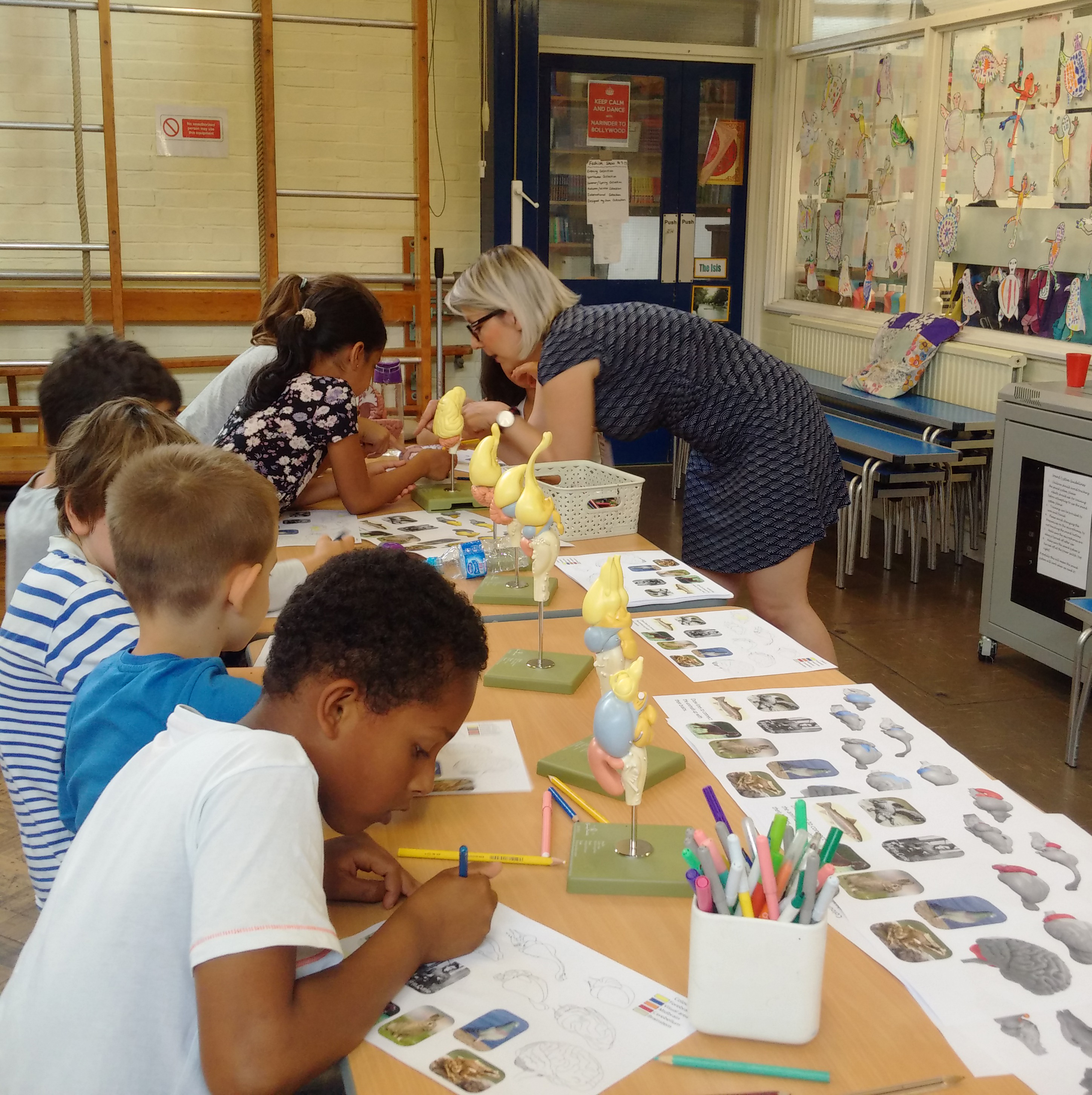 Unit scientist Dr Jennifer Kaufling guides pupils as they compare the brains of different vertebrates.