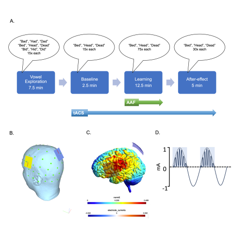 A diagram showing the process of the experiment