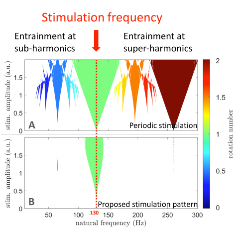 Two panels showing regions of entrainment as a function of natural frequency and stimulation amplitude. Upper pane, entrainment regions around the stimulation frequency. Lower panel, our proposed stimulation pattern showing entrainment only around the stimulation frequency.