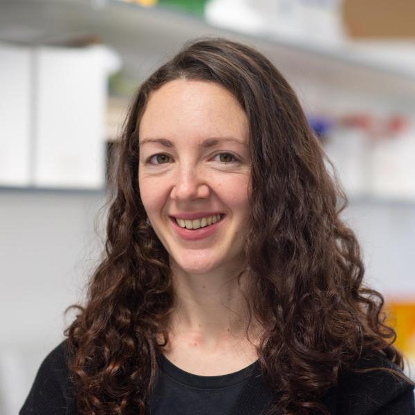 Portrait photo of Professor Helen Barron