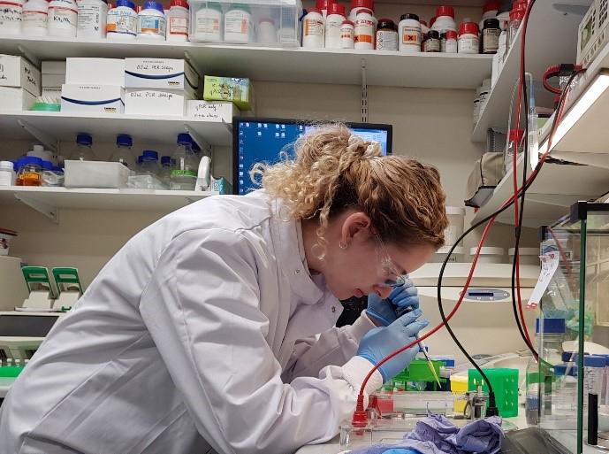 Photo of a visiting In2scienceUK school pupil working at a lab bench.