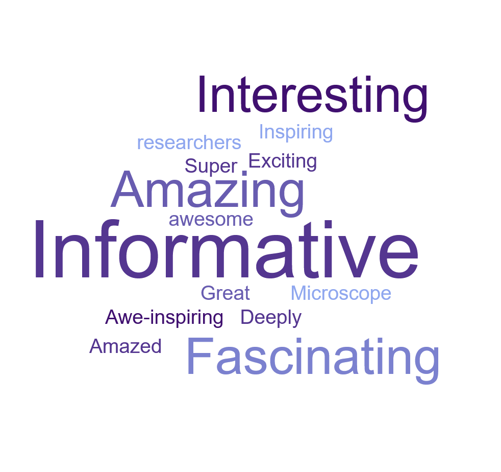 a word cloud including 'Amazing,' 'Fascinating,' and 'Interesting.'