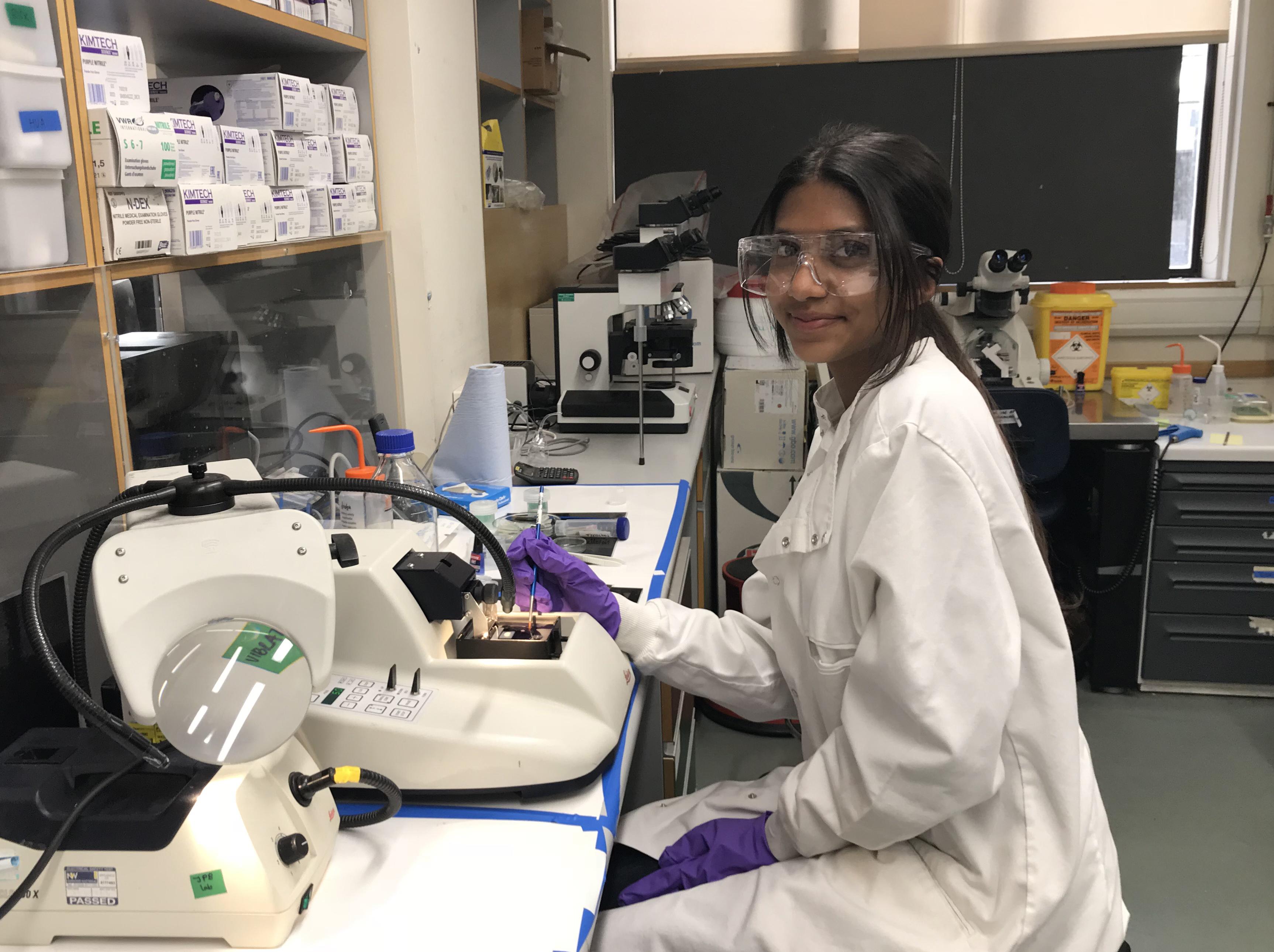 In2scienceUK student Taklima gets stuck into neuroanatomy research at the MRC BNDU.