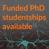 Advert image with picture of a brain cell and text highlighting available studentships.