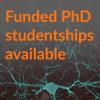 A picture of a brain cell coloured in blue, with superimposed orange text advertising that PhD studentships are available. 