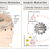 On the left, a cartoon of human head showing an implanted brain pacemaker device. On the right, a cartoon showing a circle of steps in the research system.