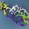pipecleaner-neurons