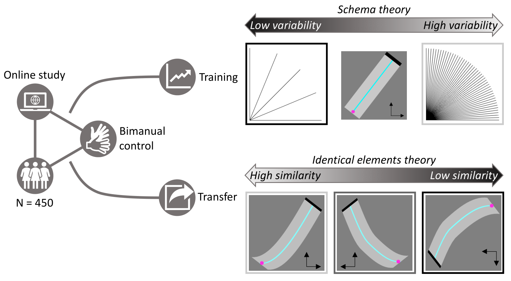 Graphical abstract explaining the paper.